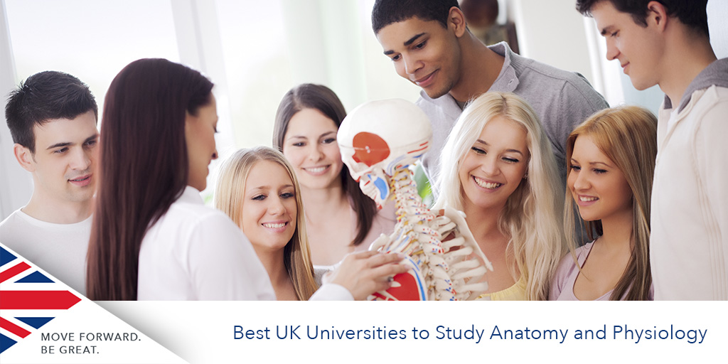 Anatomi ve Fizyoloji Eğitimi İçin En İyi İngiltere Üniversiteleri
