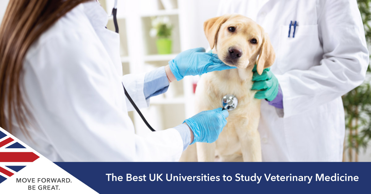 Top Universities to Study Veterinary Medicine in the UK
